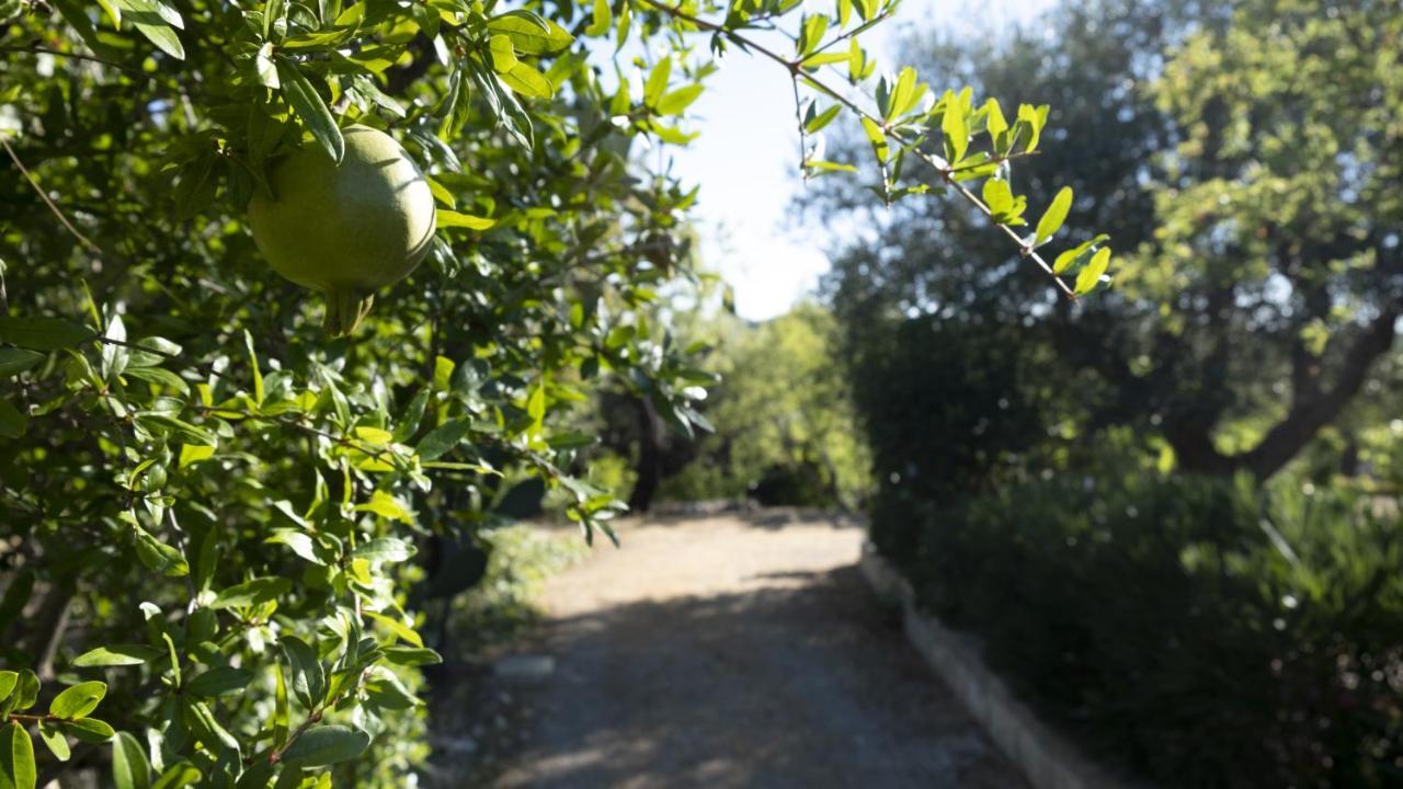 Il Rifugio Nel Verde Monopoli Exterior foto